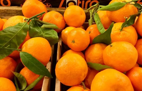 孕妇能吃柑橘吗？