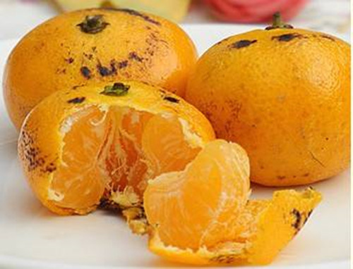 原来柑橘还可以蒸着吃，你知道吗？