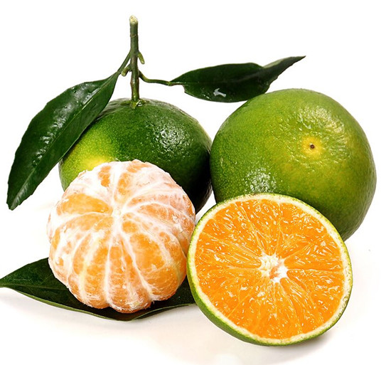 气候和空气质量如何才能满足柑橘果园要求？