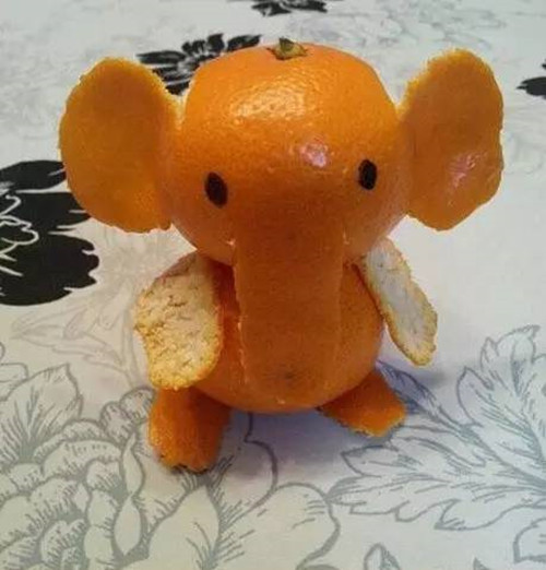 橘子皮大象