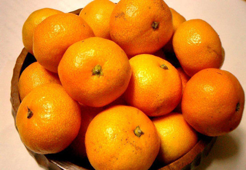 橘生淮南则为橘，生于淮北则为枳
