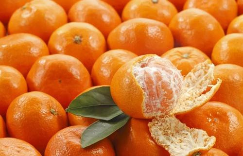 柑橘不能和什么食物一起吃