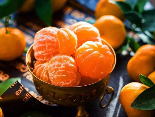柑橘种植有何重要价值