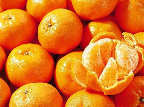 柑橘类水果为何这么受欢迎