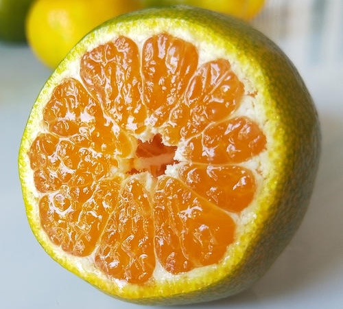 橘子选择在晚上吃可以吗